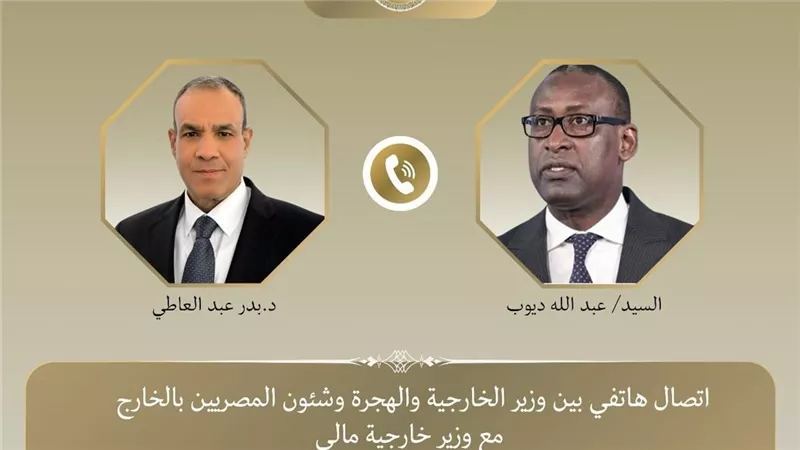 وزير الخارجية لنظيره المالي: مصر تدعم القضاء على التنظيمات الإرهابية