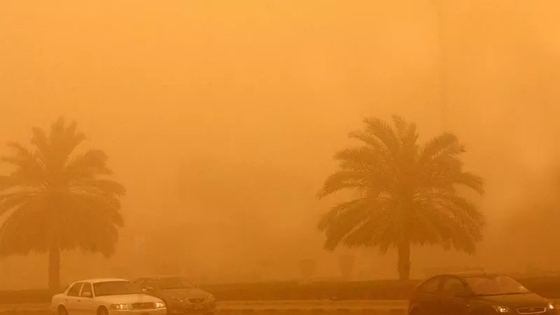 الأقصر ترفع حالة التأهب بجميع القطاعات لمواجهة تقلبات الطقس