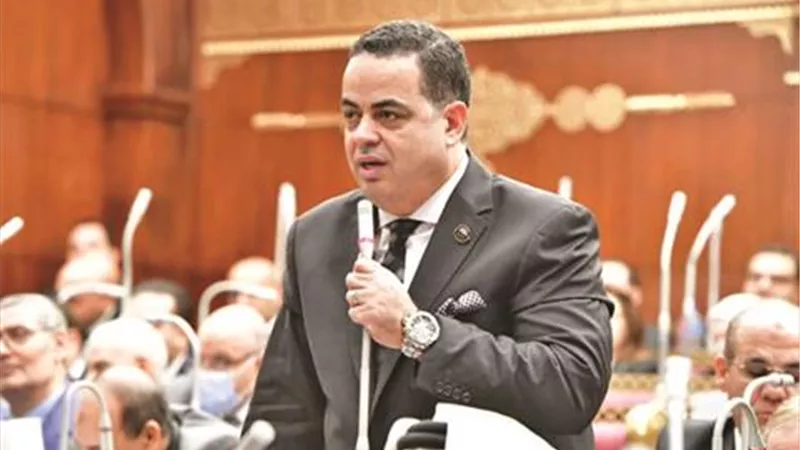 عصام هلال: «مستقبل وطن» جاهز بالكامل لخوض انتخابات المحليات|خاص