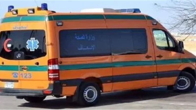 مصرع 11 وإصابة 10 من عمال المحاجر في حادث مروع بسمالوط بالمنيا