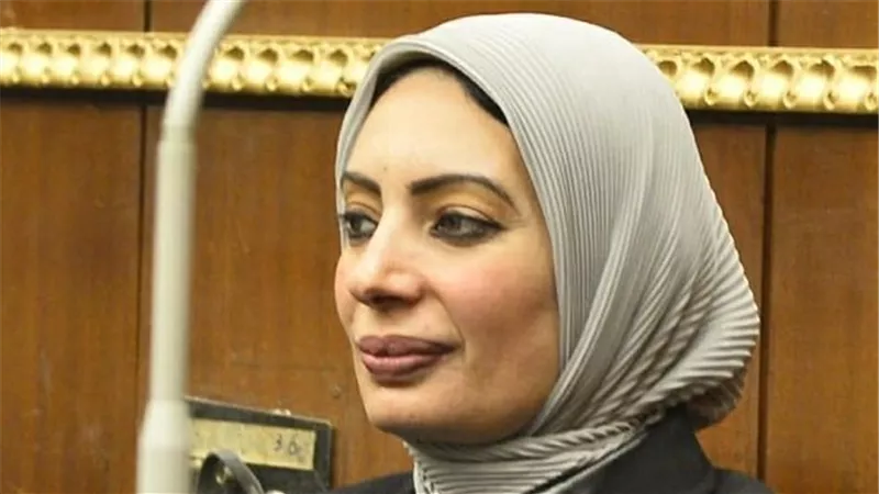 تفاصيل مقترح النائبة بسمة هنداوي لتعديل بعض أحكام قانون الضريبة العقارية