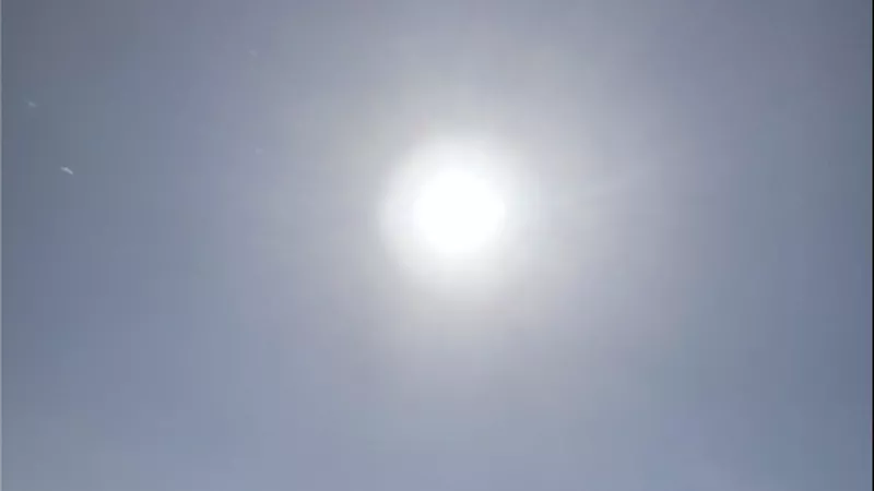 طقس محافظة الشرقية.. مشمس نهارا مائل للبرودة ليلا