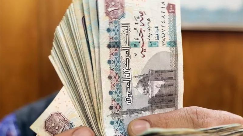 المنوفي: التحول للدعم النقدي يدعم استقرار الأسواق ويمنع إهدار الدعم