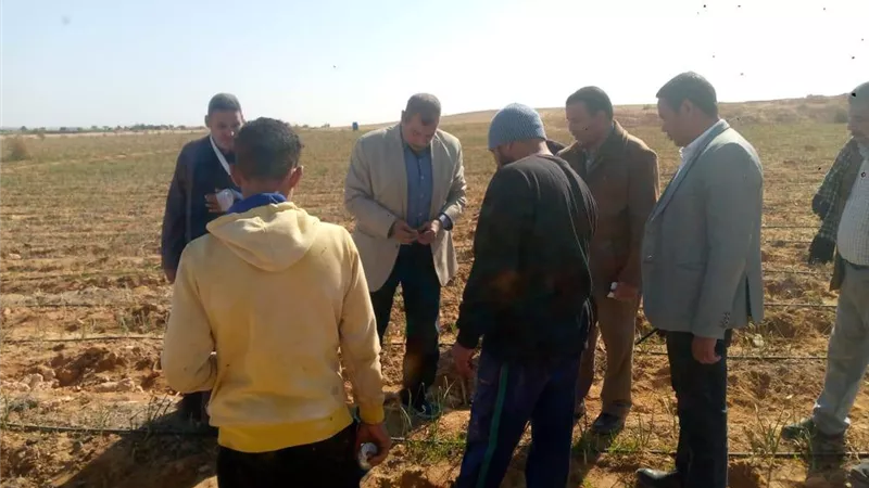 وكيل زراعة أسيوط يتفقد المحاصيل وفحص الزراعات الشتوية بالقوصية