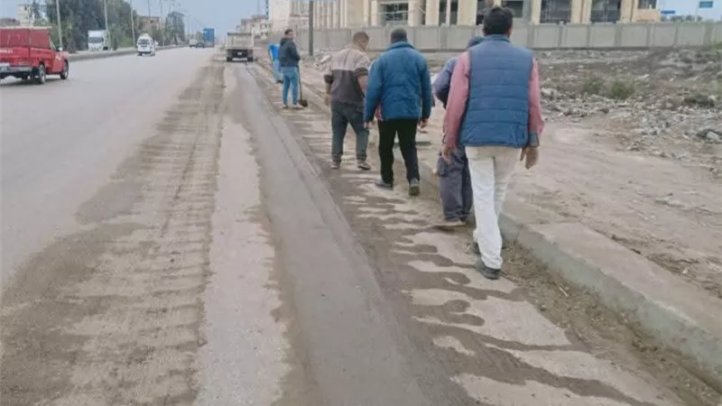 تنفيذ حملة لرفع تراكمات القمامة والأتربة بالطرق السريعة بدمنهور|صور