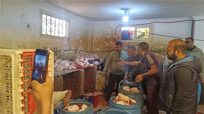 محافظة الجيزة: ضبط 75 طن مصنعات لحوم ودواجن فاسدة|صور