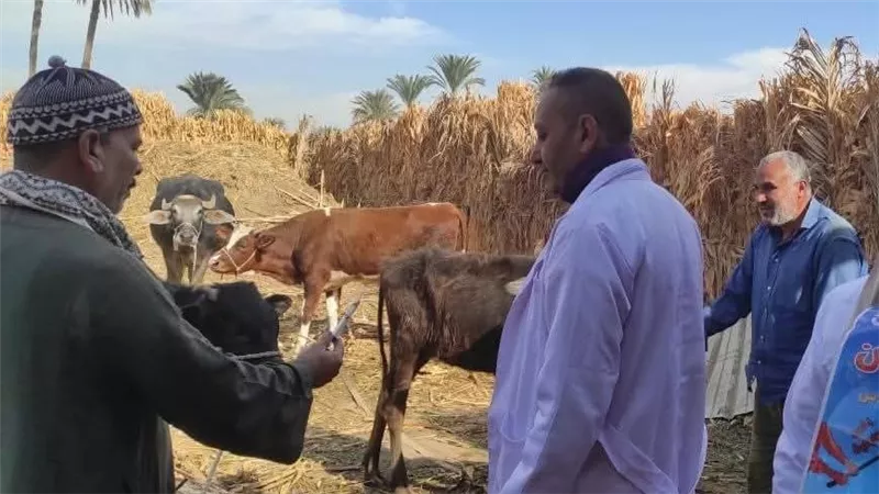 انطلاق الحملة القومية للتحصين ضد الحمى القلاعية بسوهاج