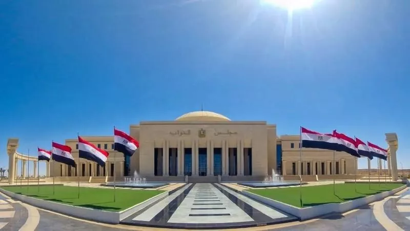 إحالة 14 طعنا في الـ19 دائرة ملغاة من انتخابات النواب إلى محكمة النقض