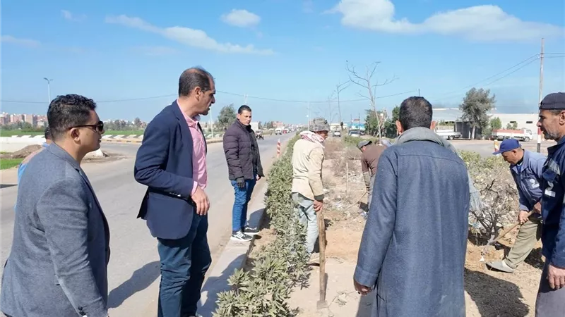 رفع كفاءة الجزيرة الوسطى وأعمال نظافة وزراعة أشجار بمدخل مدينة كفر الشيخ