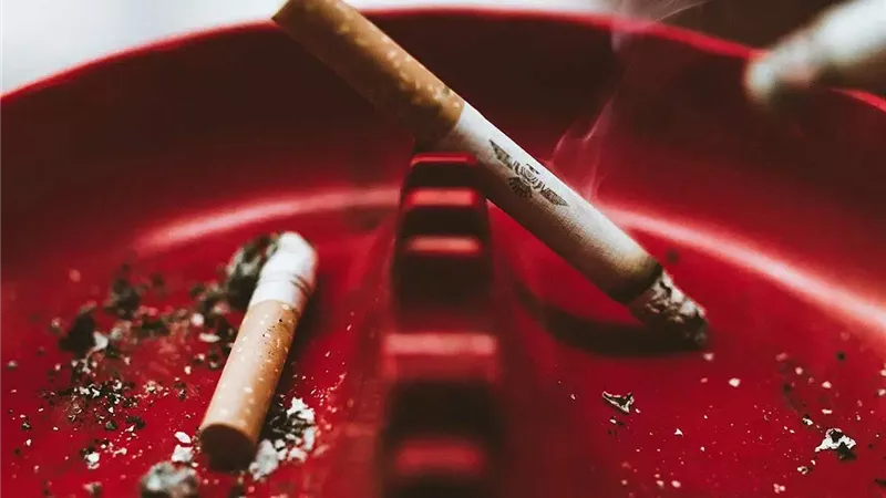 في اليوم العالمي للتوعية بمخاطر التدخين.. حقائق لا تعرفها عن السيجارة 