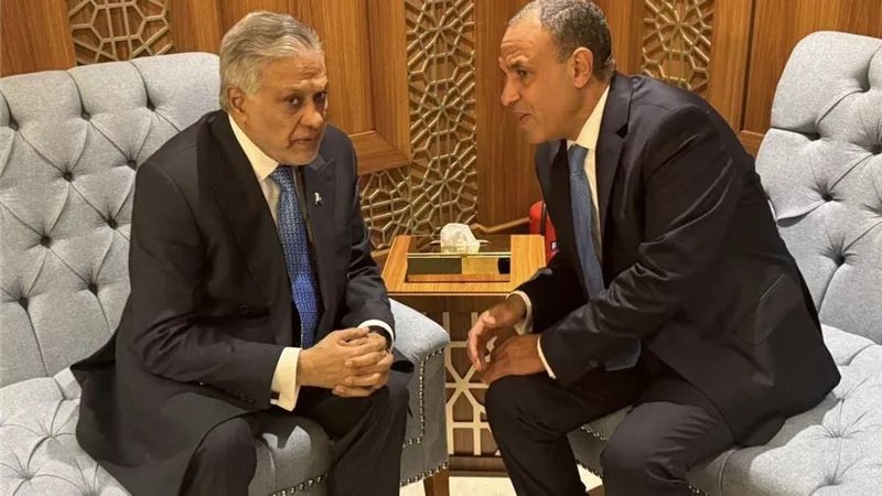 مصر وباكستان تستعرضان سبل تعزيز التعاون المشترك