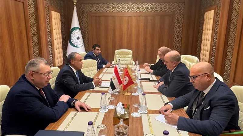 وزير الخارجية يبحث مع نظيره التونسي تطورات الأوضاع في ليبيا
