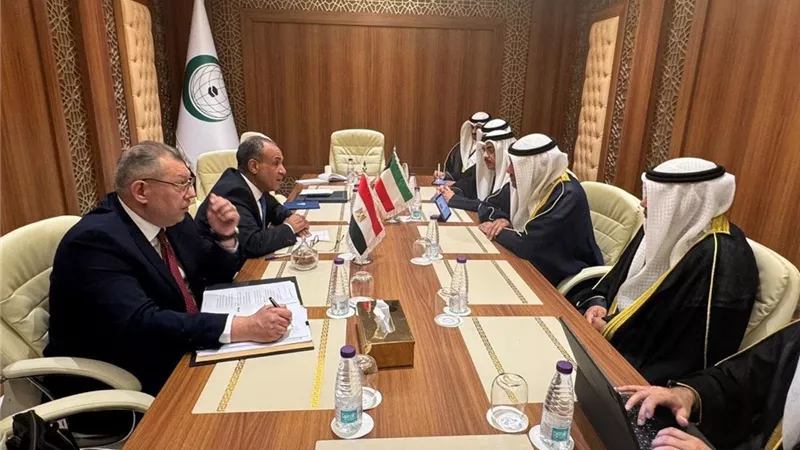 مصر تطالب بتضافر الجهود الدولية لتنفيذ خطة غزة وتثبيت التهدئة في اليمن