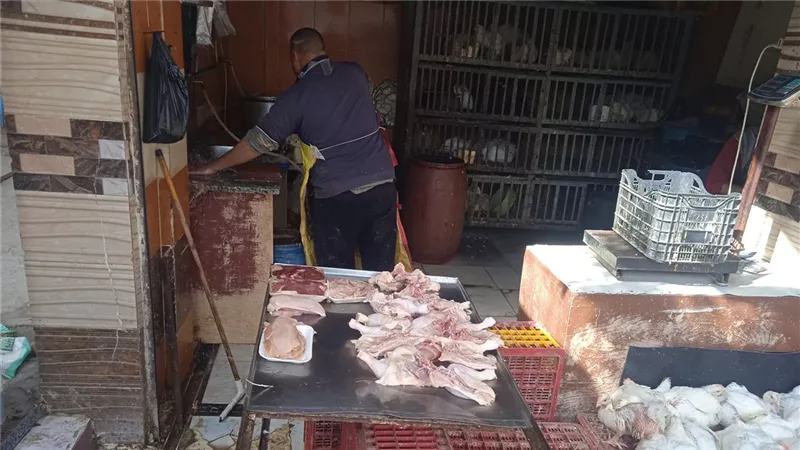 أسعار الفراخ البيضاء في كفرالشيخ اليوم الأحد