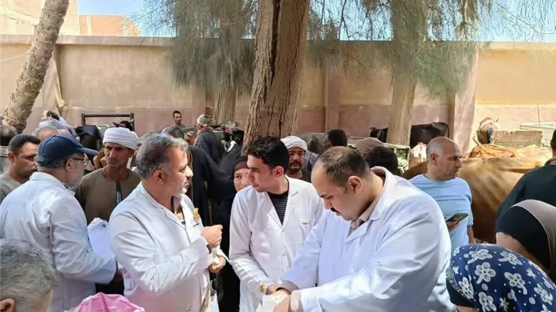682 حالة تستفيد من قافلة بيطرية متكاملة بإهناسيا