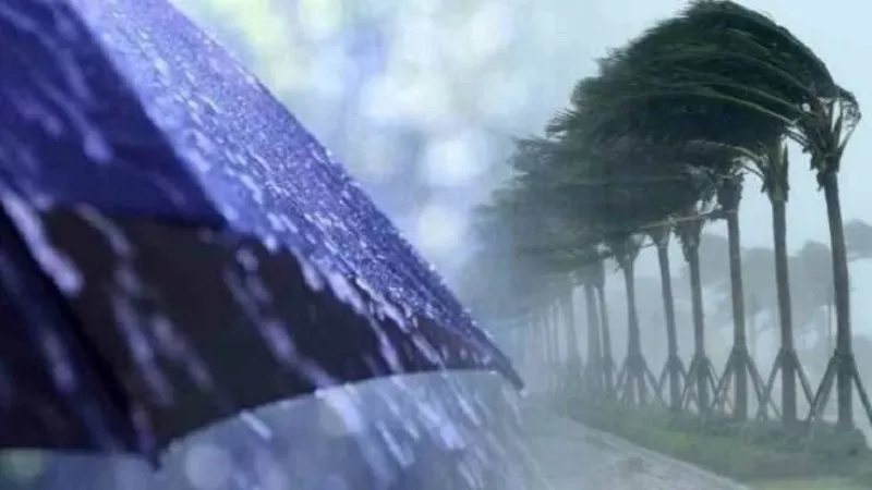 طوبة يكشر عن أنيابة.. تقلبات جوية حادة تضرب البلاد في هذا التوقيت| فيديو
