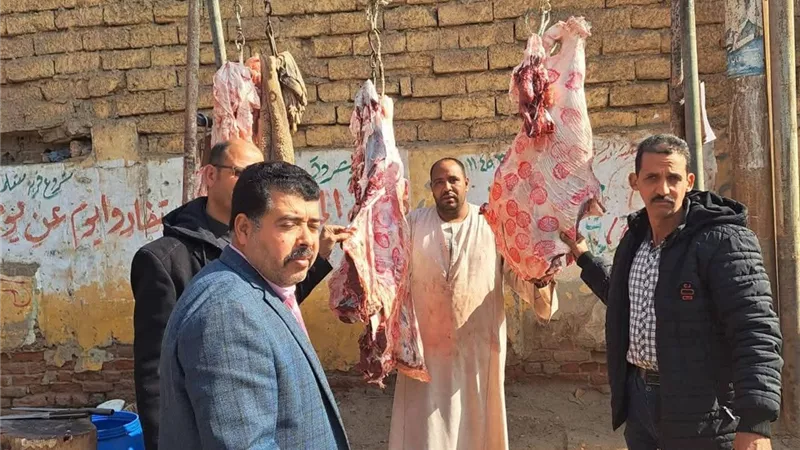 ضبط 252 كيلو لحوم غير صالحة ومذبوحة خارج المجازر بالمنيا