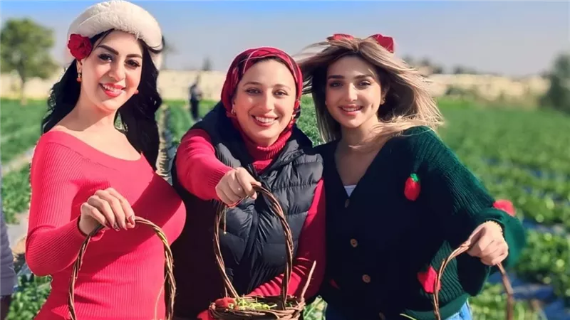 أميرة الفواكه.. «إيجبيتك» يشارك في حصاد الفراولة الاسمعلاوي|فيديو