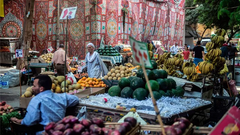 البنك المركزي يكشف أسباب تراجع واستقرار التضخم بنهاية ديسمبر 2025
