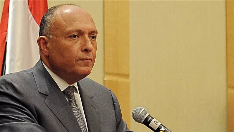 السيرة الذاتية للسفير سامح شكري بعد تعيينه في مجلس النواب