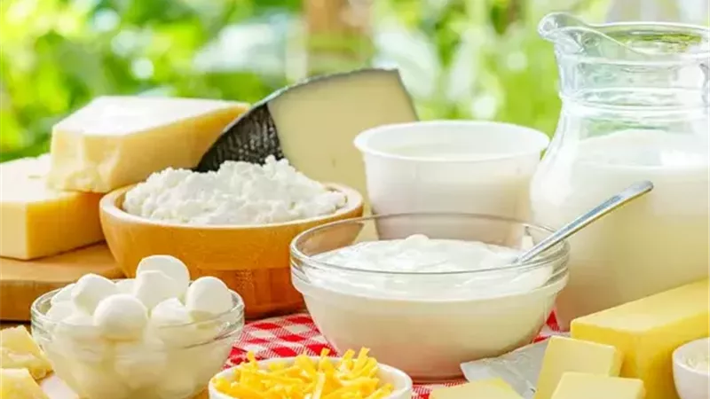 8 وجبات خفيفة غنية بالبروتين.. بدائل صحية ومشبعة|تعرف عليهم 