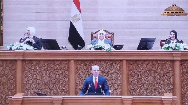 بعد قيادتها الجلسة الإجرائية الأولى لبرلمان 2026.. من هي عبلة الهواري؟