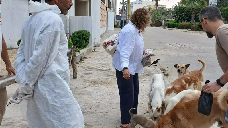 خلال 4 أشهر.. تحصين 290 من الكلاب الحرة ضد مرض السعار بالإسماعيلية