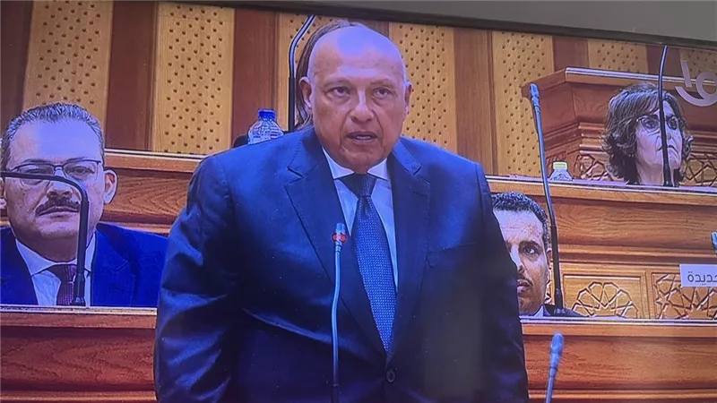 سامح شكري يؤدي اليمين الدستورية تحت قبة البرلمان|تفاصيل