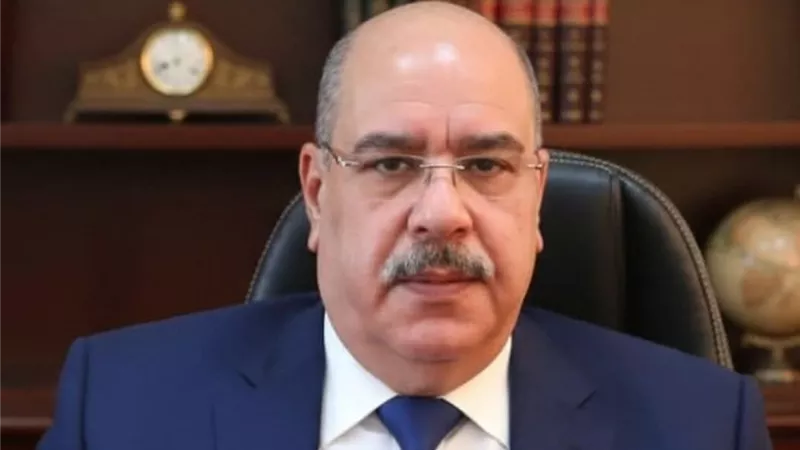 هل يتولى رئاسة المجلس؟.. من هو هشام بدوي المعين بمجلس النواب