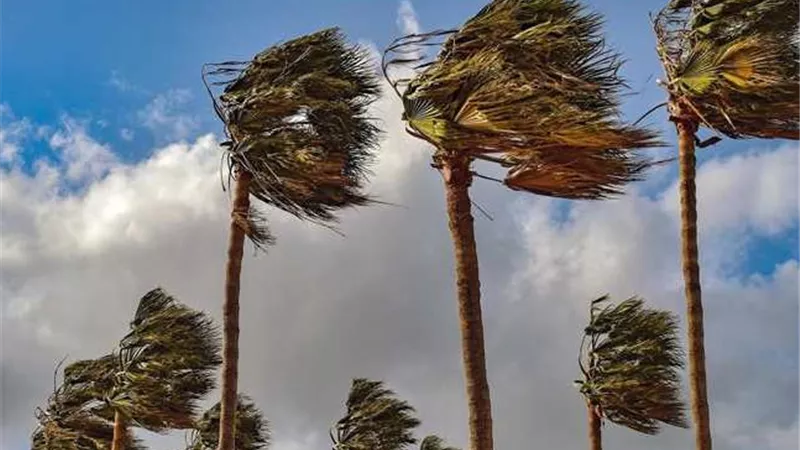 دعاء العاصفة الترابية.. 