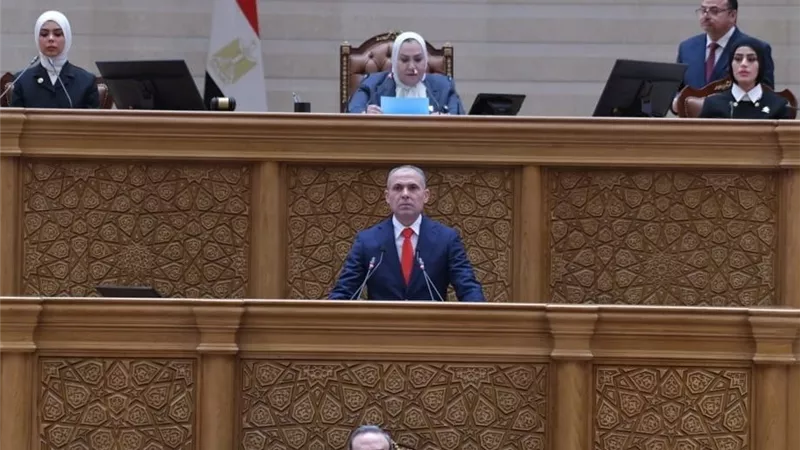 مها أبو بكر: منصة البرلمان مبهجة شكلياً وننتظر تمكيناً موضوعياً للمرأة|خاص