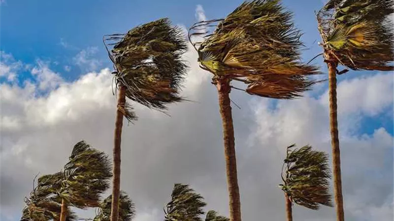 دعاء الرياح الوارد عن النبي.. لا تغفل عن ترديده