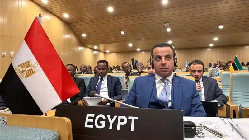 سفير مصر بإثيوبيا يشارك في الدورة 51  للمندوبين الدائمين للاتحاد الأفريقي