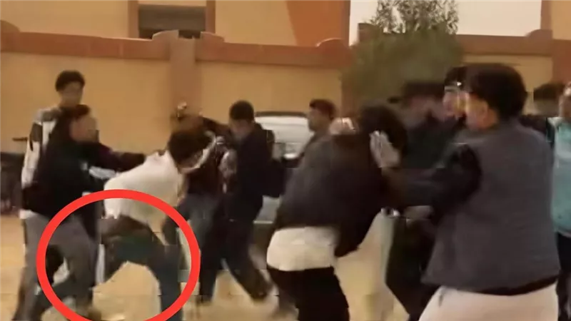 أول تعليق من «التعليم» بعد مشاجرة طلاب بالأسلحة البيضاء في الجيزة| خاص