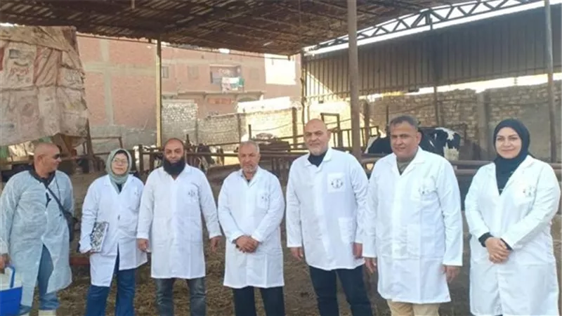 حملات مكثفة لضبط سوق المبيدات الزراعية في القليوبية
