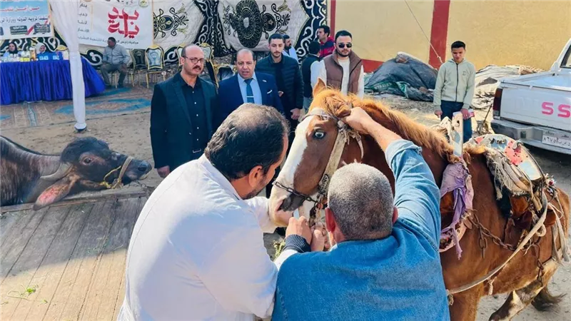 «الزراعة»: 2900 قافلة بيطرية مجانية لخدمة 2600 قرية خلال 2025