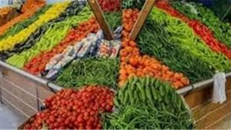 أسعار الخضروات اليوم الثلاثاء 13يناير 2026 في المنيا