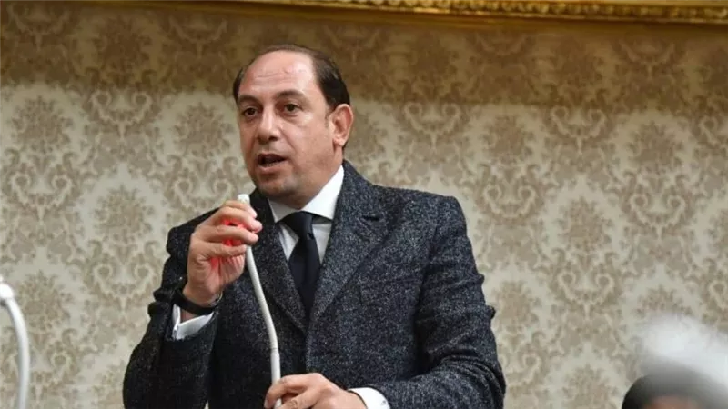 محمد عبد الجواد: البرلمان لا يقتصر دوره على سن القوانين فقط