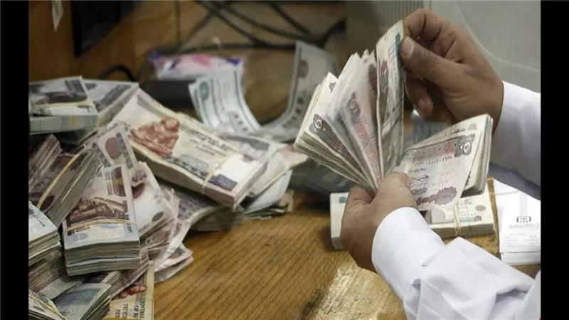 النقد الدولي: انهيار معدل الادخار المحلي في مصر إلى 5.8% خلال 2025