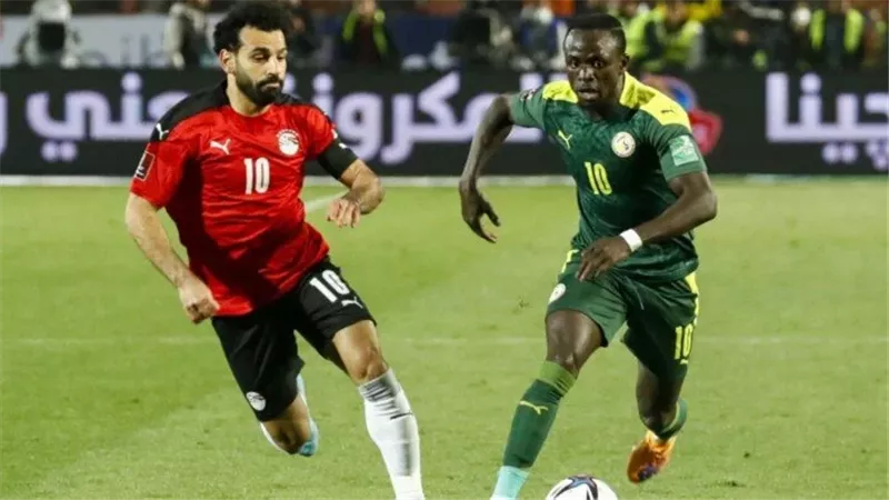 القنوات المفتوحة الناقلة لمباراة مصر والسنغال نصف نهائي كأس أمم إفريقيا 