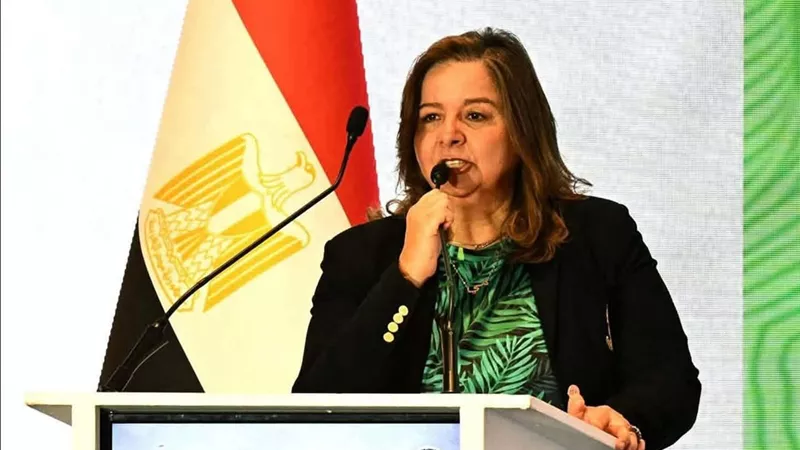 مي عبدالحميد: تنفيذ 1.72 مليون وحدة سكنية ضمن برنامج الإسكان الاجتماعي 