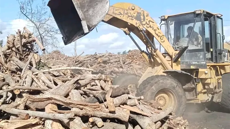محافظ الدقهلية يشدد على مواجهة الملوثات وإزالة مكامير الفحم المخالفة