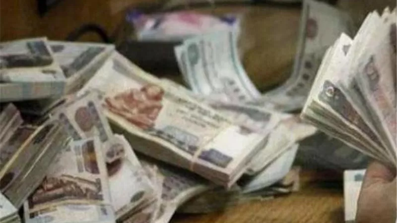 قرار جديد من المحكمة بشأن «مستريح أبو كبير» و3 آخرين