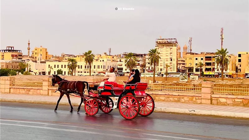 طقس اليوم في الأقصر.. شديد البرودة صباحا مائل للدفء نهارا
