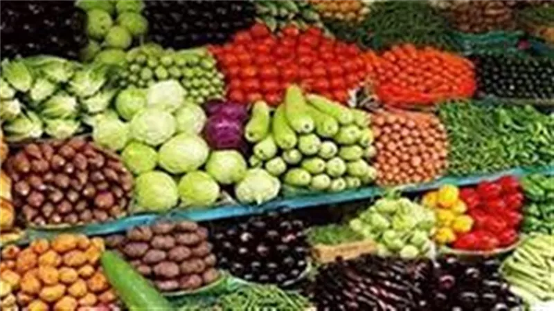 أسعار الخضروات اليوم الأربعاء 14 يناير 2026 في المنيا 