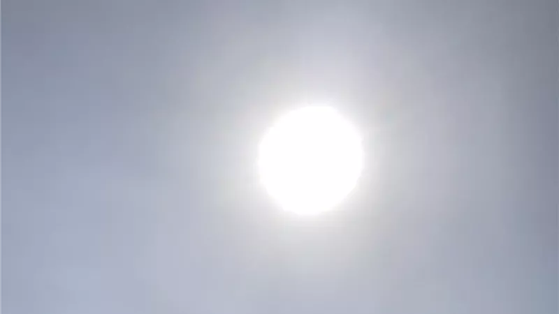 طقس الشرقية اليوم.. ربيعي مشمس نهارا وتحذير من البرودة ليلا