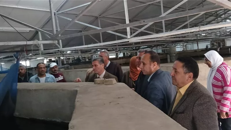 نائب رئيس جامعة بنها يتفقد الوحدات الإنتاجية بكلية الزراعة بمشتهر