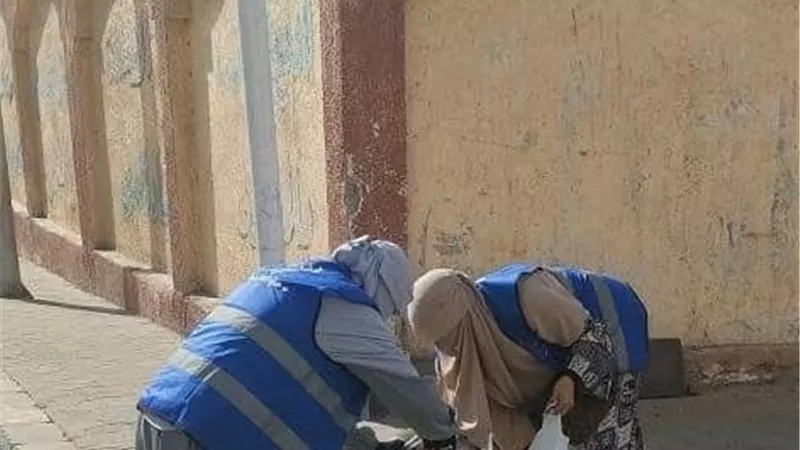 تطعيم 100 كلب ضال بمدينة العبور ضمن حملة لمواجهة مرض السعار