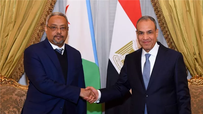 وزير الخارجية يبحث مع نظيره الجيبوتي سبل تعزيز العلاقات الثنائية