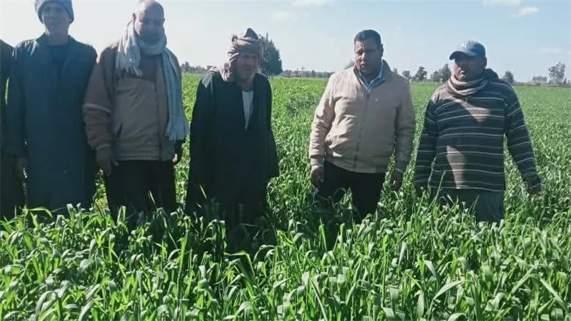 محافظ كفر الشيخ يتابع فعاليات الندوات الحقلية لنشر الوعي الزراعي